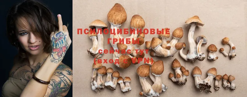 mega маркетплейс  Красноуральск  Галлюциногенные грибы Magic Shrooms 